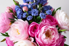 bouquets of peonies 