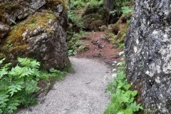 mountain-path