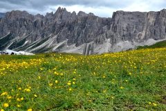 dolomiti Passo Giau