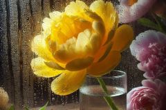 1_yellow-peony-in-a-glass-of-water